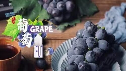 糖巢Sugar Nest https://mikeymcq3.com @mikeymcq